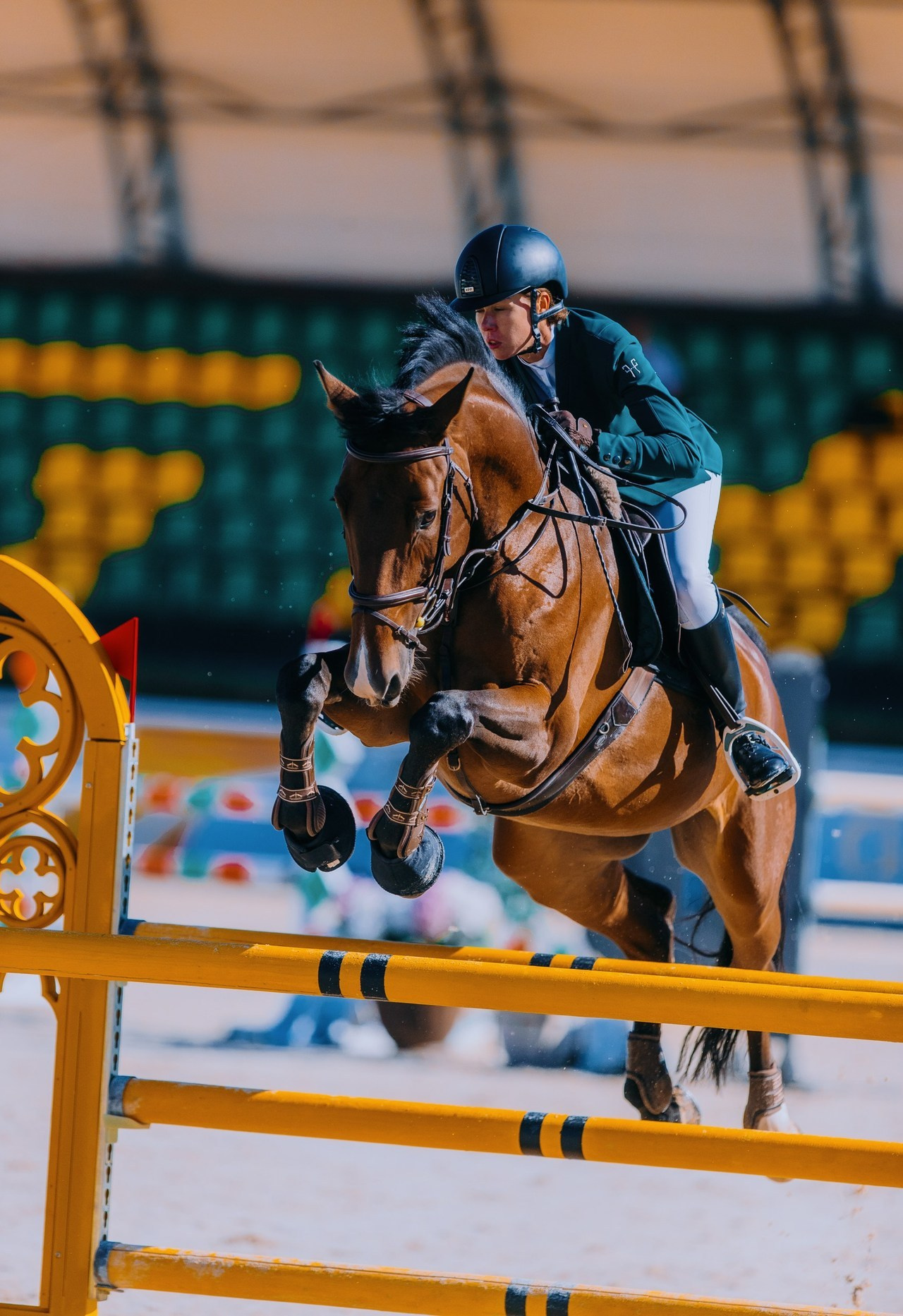 Отзывы. Фотограф-анималист Ксендзова Кристина