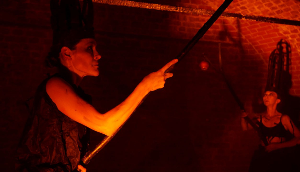 Красное дерево. Фото / Видеосъемка в Москве