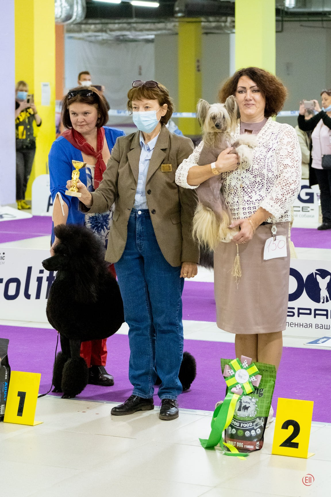 10.10.2020, г.Москва, две выставки. МКОО Комондор Плюс, Национальная выставка всех пород ранга САС, судья Кудрявцева Елена Николаевна. Честер - CW, JCAC, ЛЮ, ЮЧФ, BOB, BIG 2. МКОО "Пастушьи Породы Плюс", Национальная выставка всех пород ранга САС, судья Бровкина Татьяна Ивановна. Честер- CW, JCAC, ЛЮ, ЮЧФ, BOB. Хендлер Татьяна Чистонова.