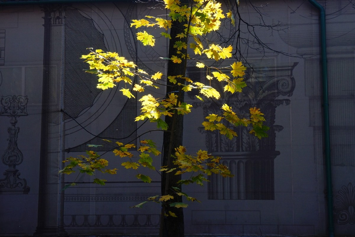 Симуляторы (Каталог № 4). Главная