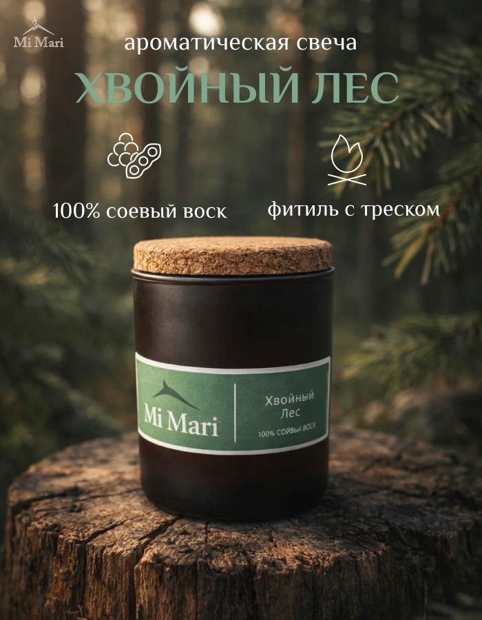 ХВОЙНЫЙ ЛЕС. Фотограф