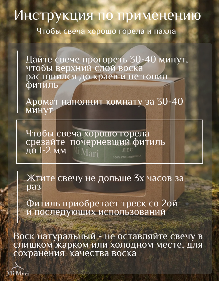 ХВОЙНЫЙ ЛЕС. Фотограф