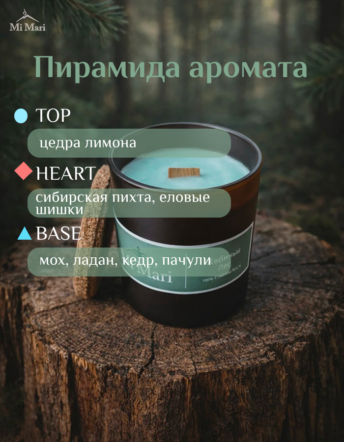 ХВОЙНЫЙ ЛЕС. Фотограф