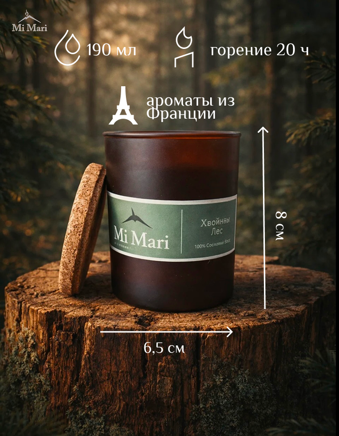 ХВОЙНЫЙ ЛЕС. Фотограф