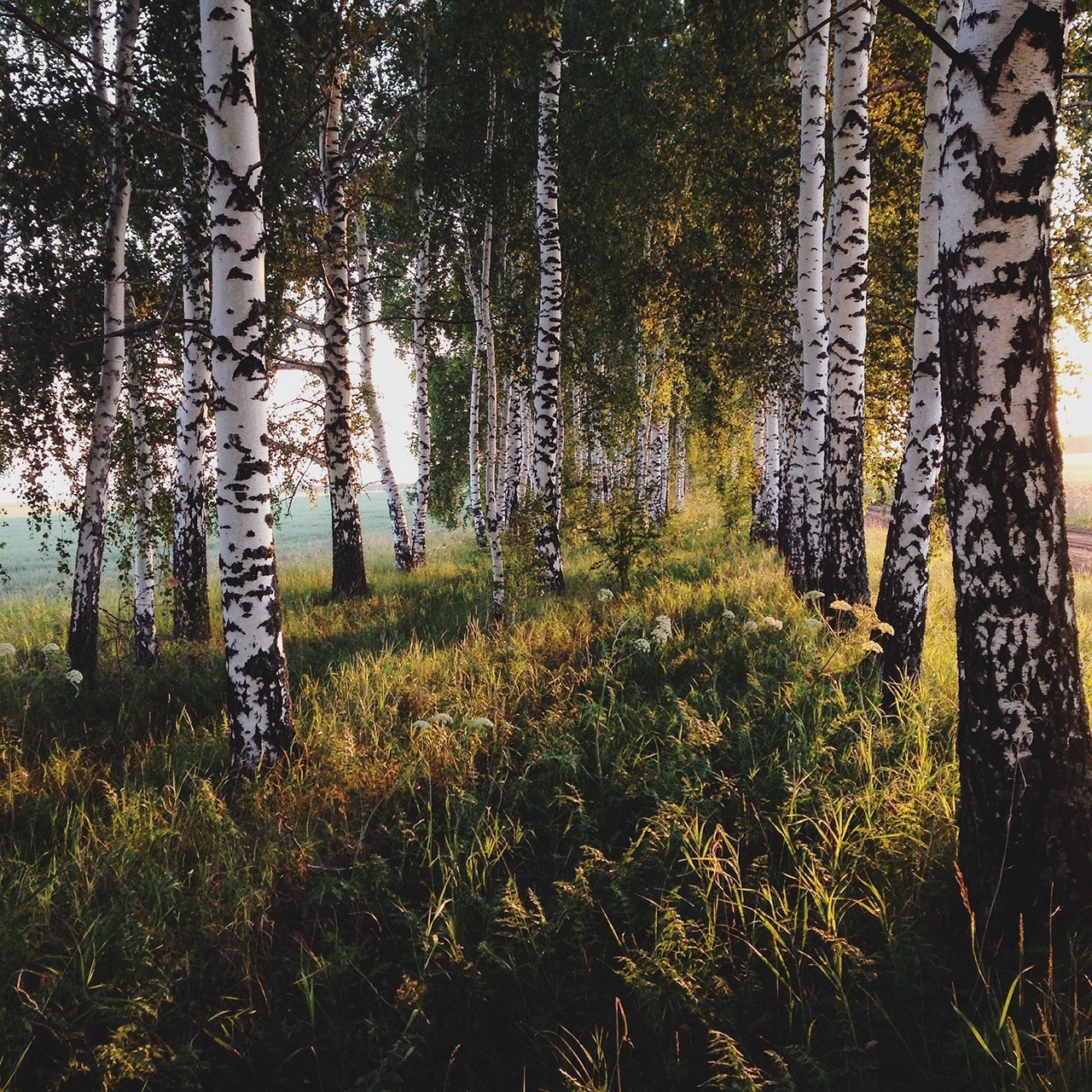 Пейзажи. Свадебный и портретный фотограф в Новом Уренгое Андрей Нелескин