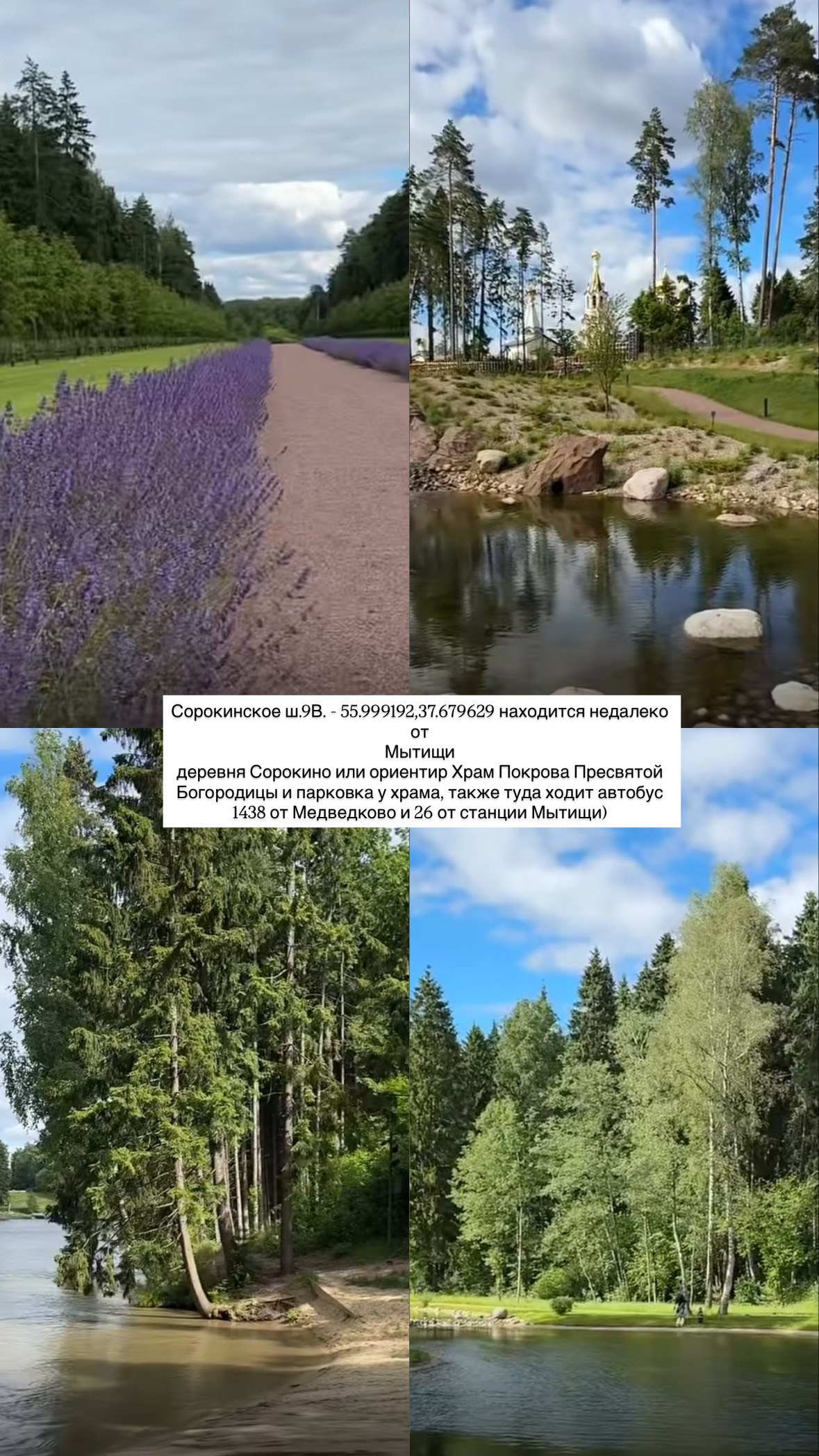 Природные. Фотограф Светлана Мерзлякова