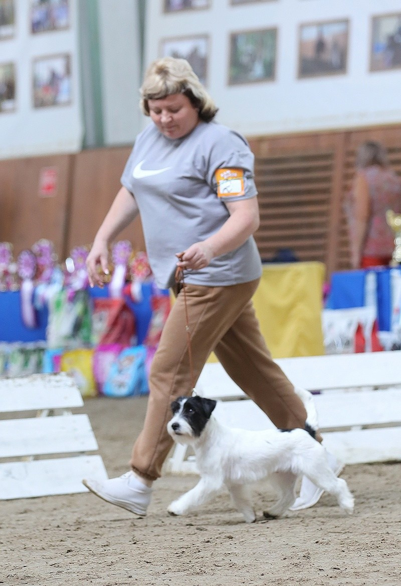 Port Fortis Play Boy