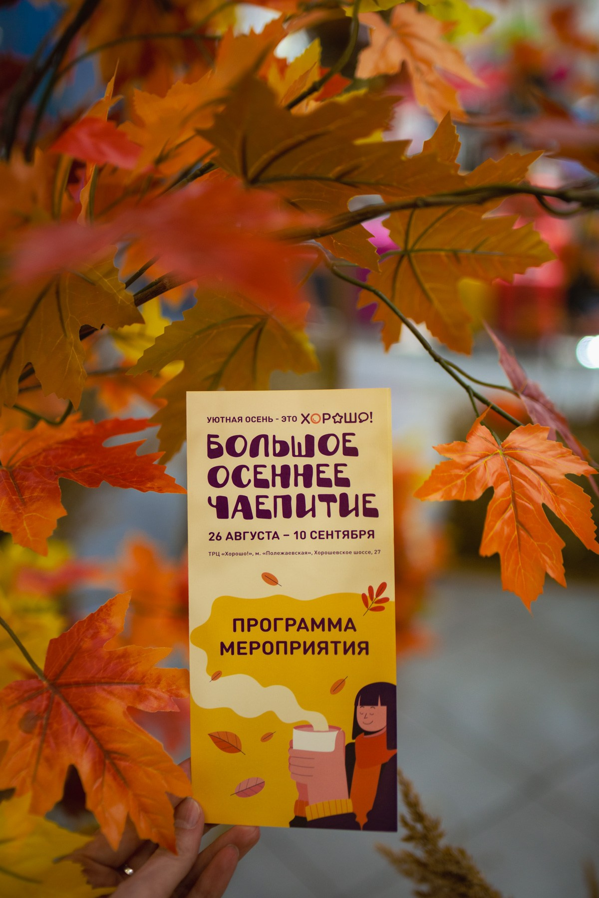 Осеннее чаепитие в ТЦ Хорошо!. Репортажный и концертный фотограф в Москве Анастасия Осень