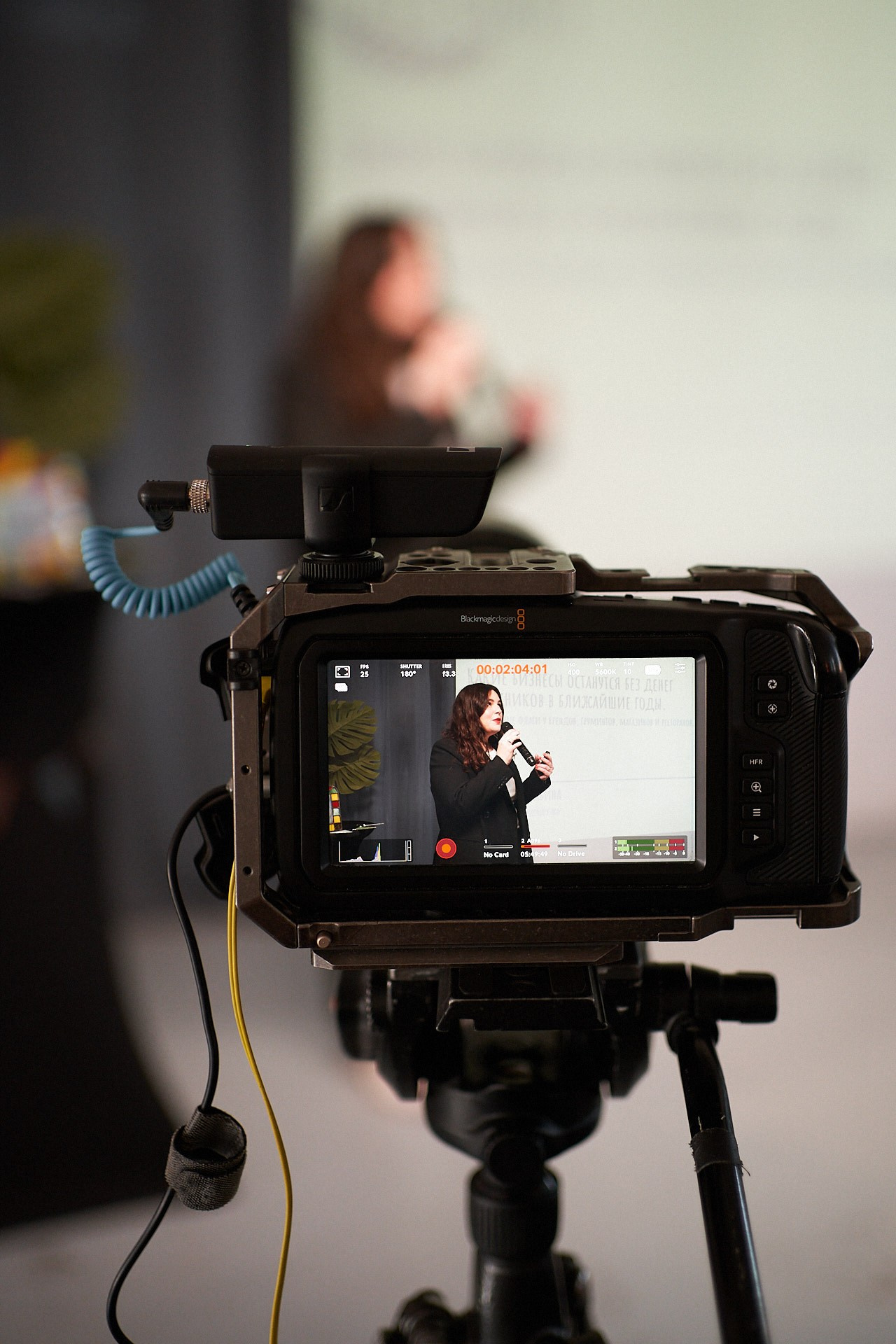 Пёсобиз. Фотограф анималист Москва Дарья