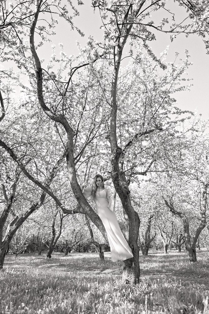 Фотодень цветущие сады. Свадебный и портретный фотограф Москва