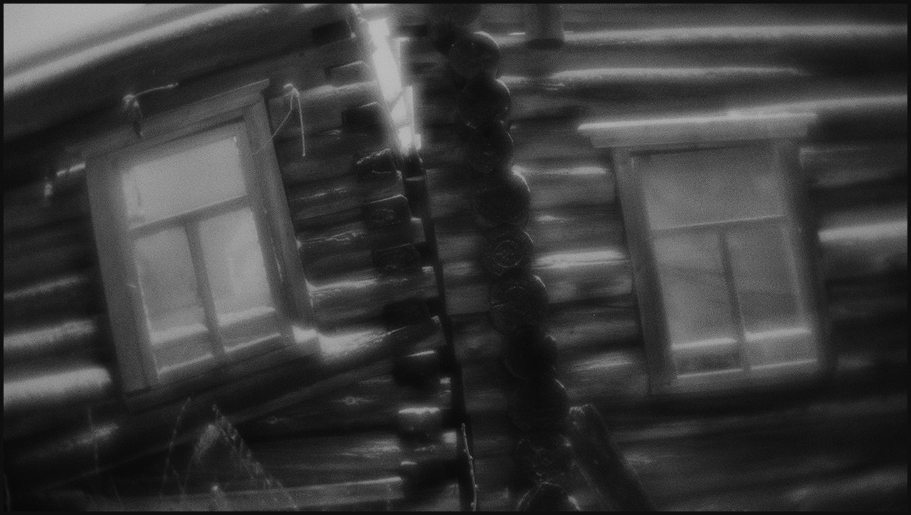 д. Остахино #3, Шенкурский район, Архангельская область. 2025 г.