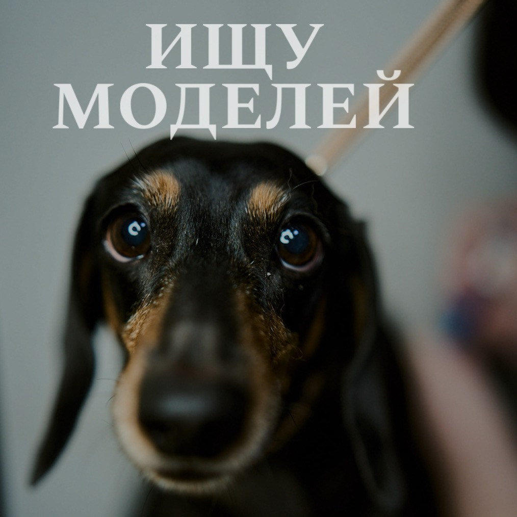 Скидки, бесплатные фотосессии. Фотограф на все случаи жизни|Москва|Таня Бочкова