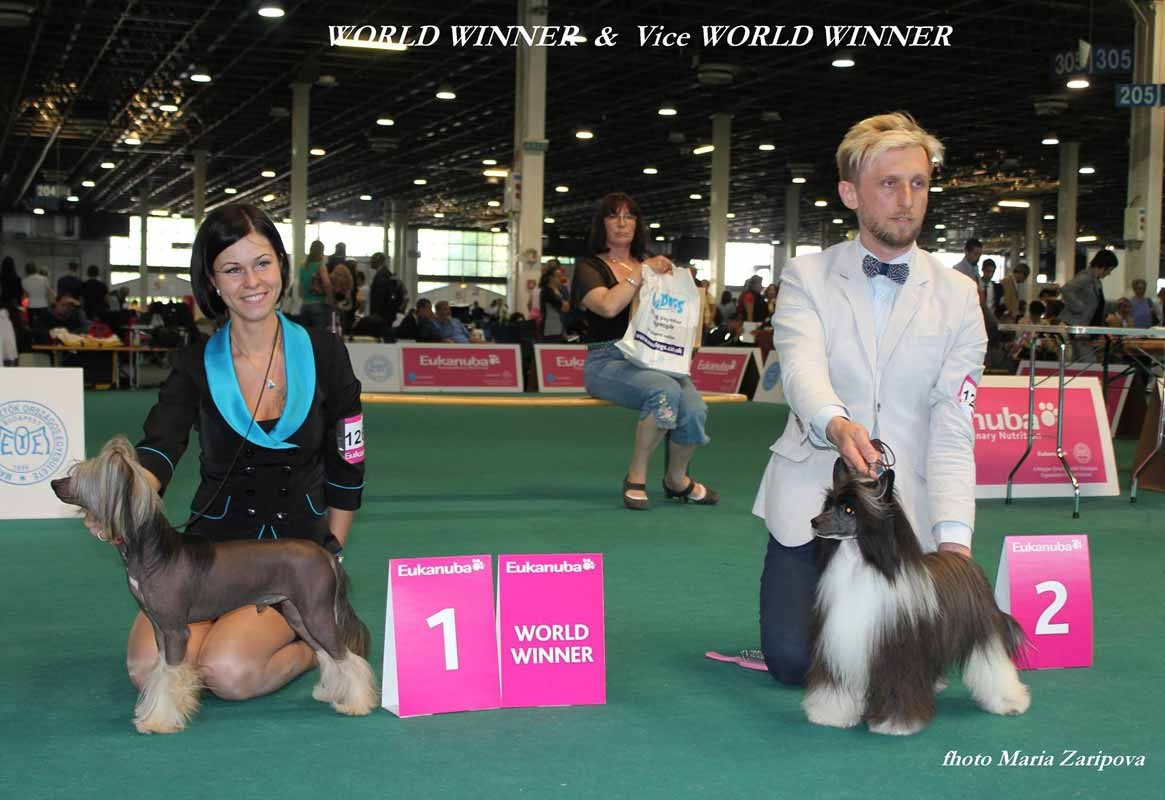 Zlato Dinastii Neron - Чемпион Мира 2013 год. Пьедестал почёта!