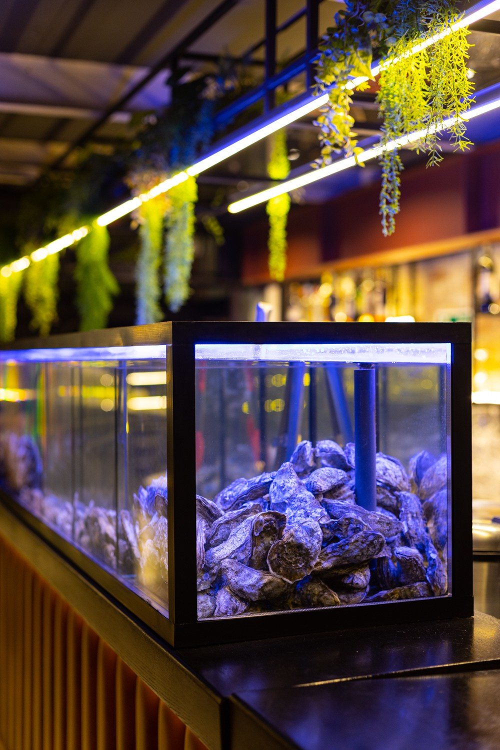 Интерьерная съемка коммерческих локаций. Фотосъемка для вашего бизнеса в Челябинске