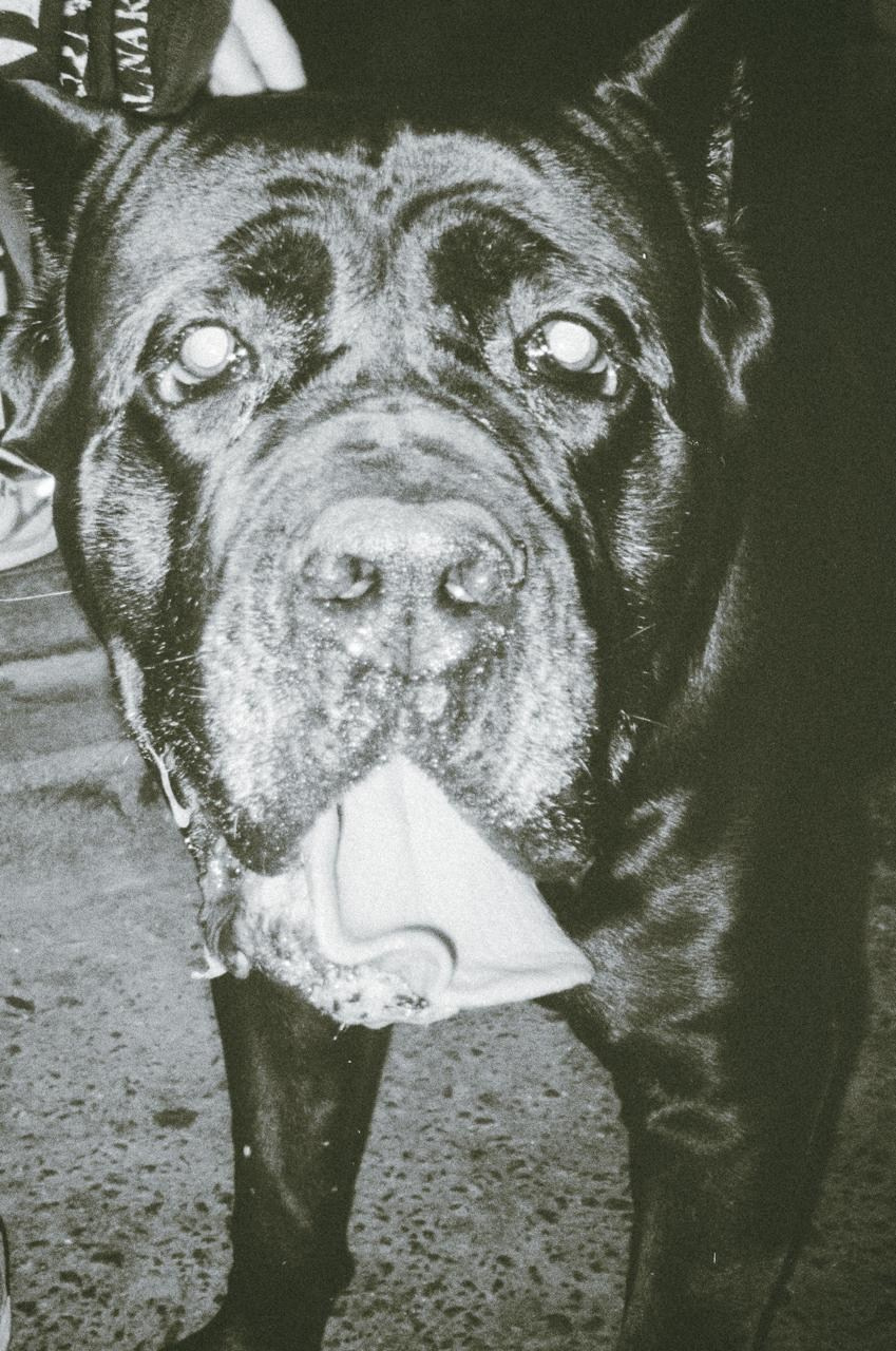 RANDOM. Nik Paustovskiy photography