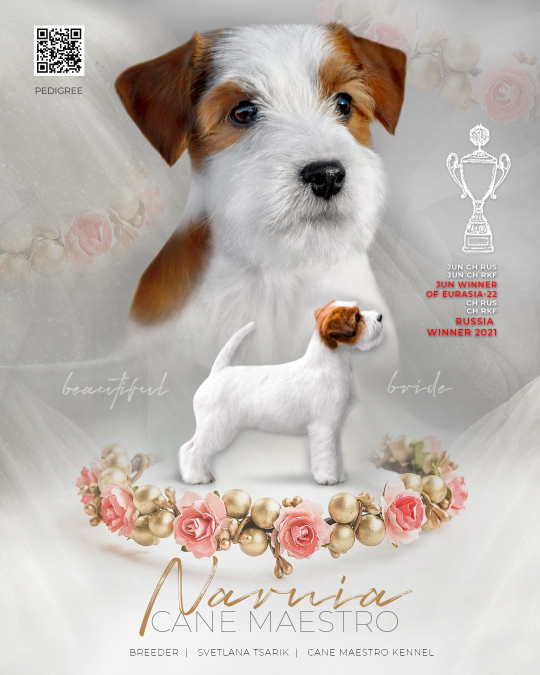 Джек рассел отзывы владельцев и покупателей щенков. CANE MAESTRO — kennel Jack Russell Terrier