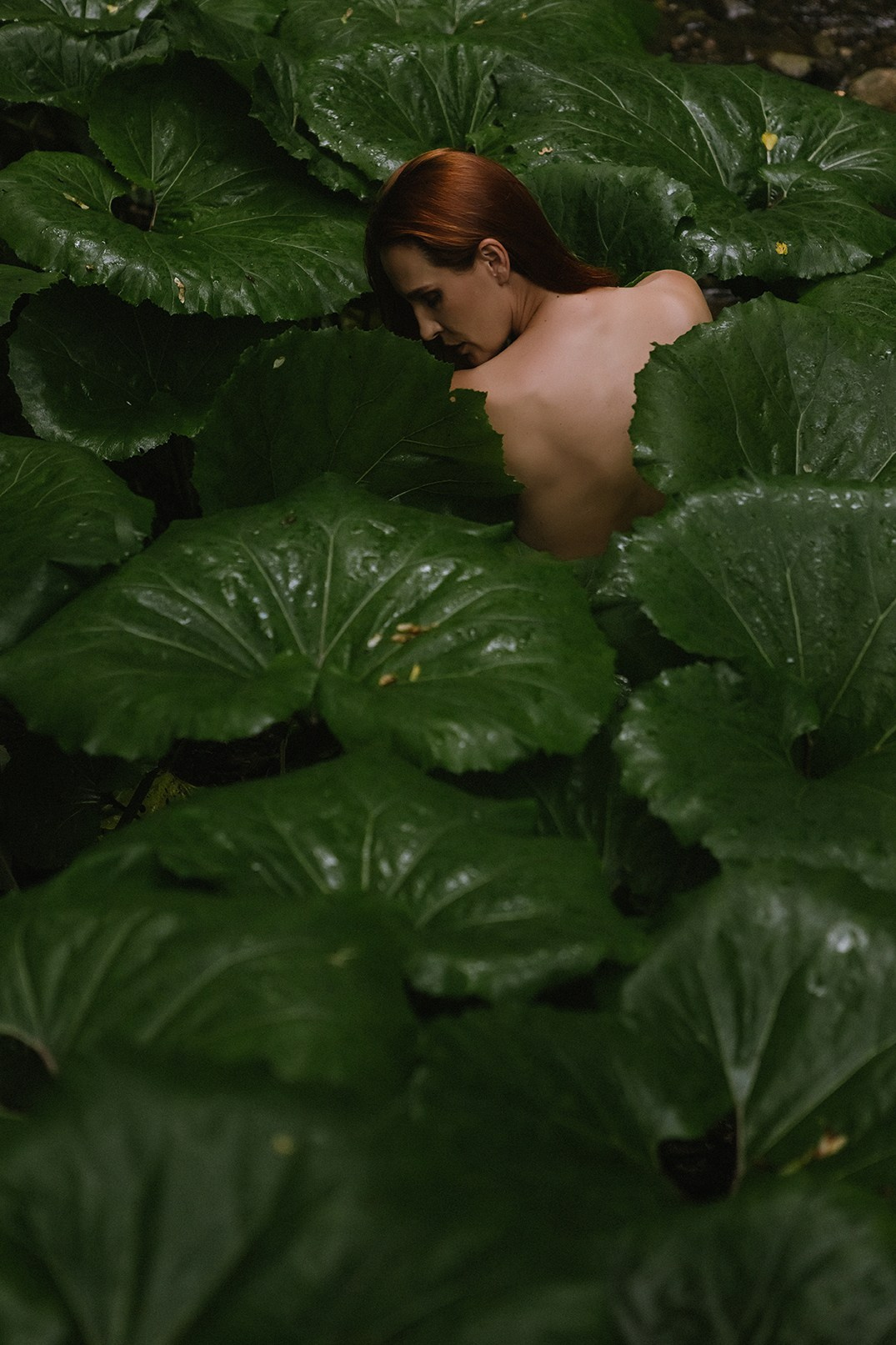 Оля портреты. Семен Соколов