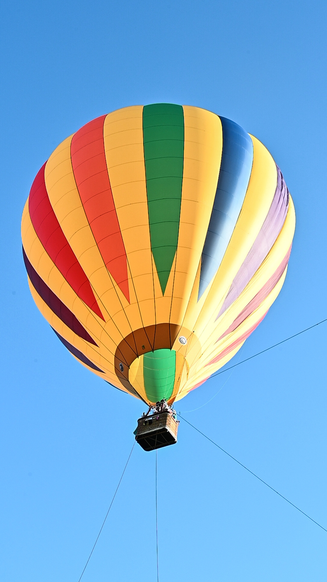 Ферма «ЭКЗАРХО» 20.09.2023 г. Фотографирую счастливых людей в Сочи