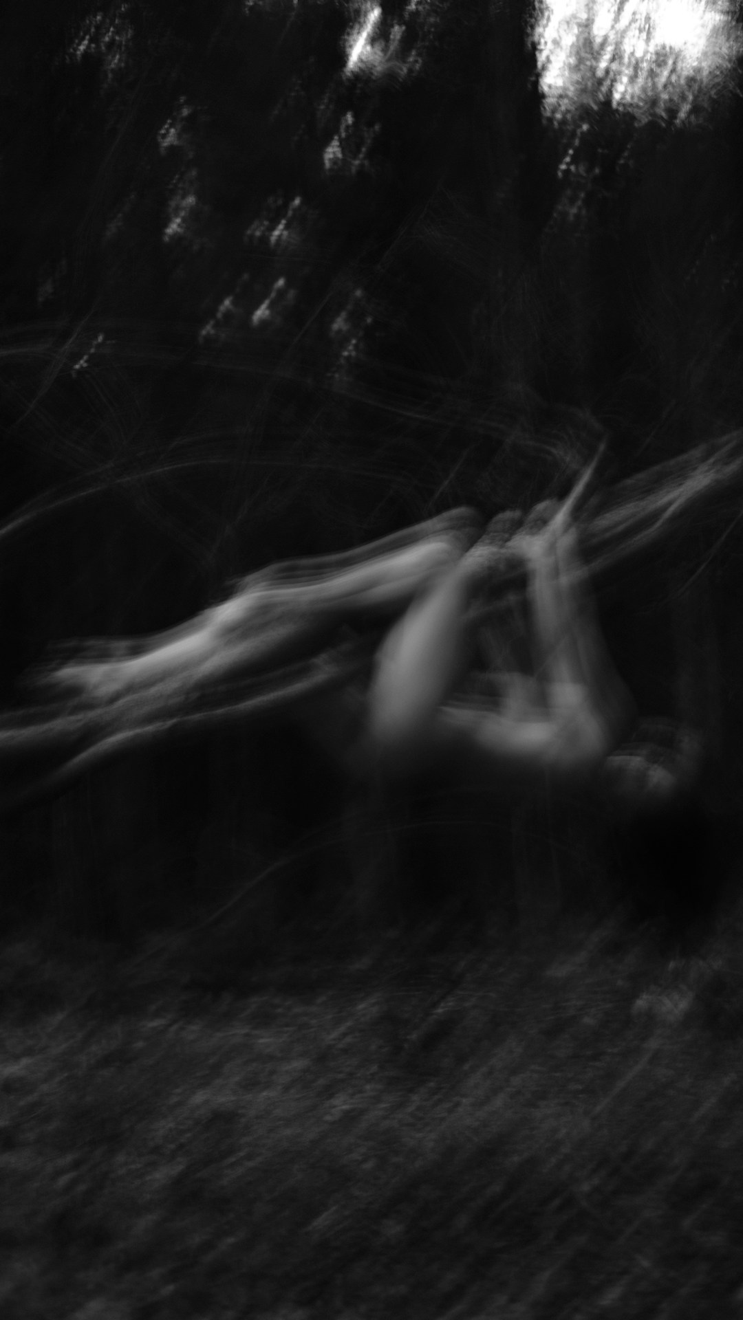 In forest. Vanyazaramkami