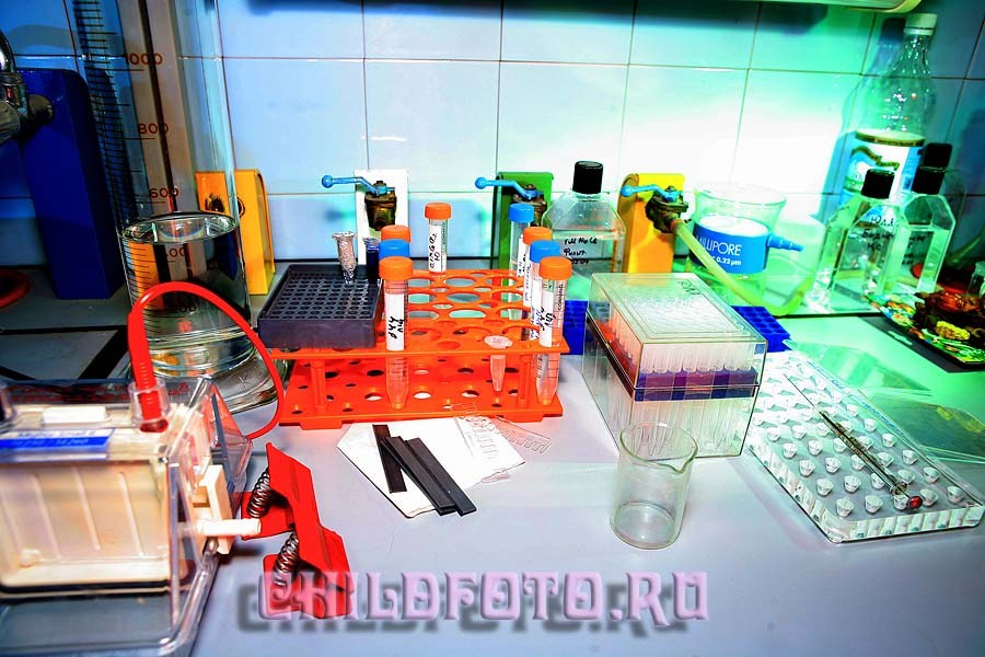 Институт Белка г. Пущино. Skazka.wfolio.pro