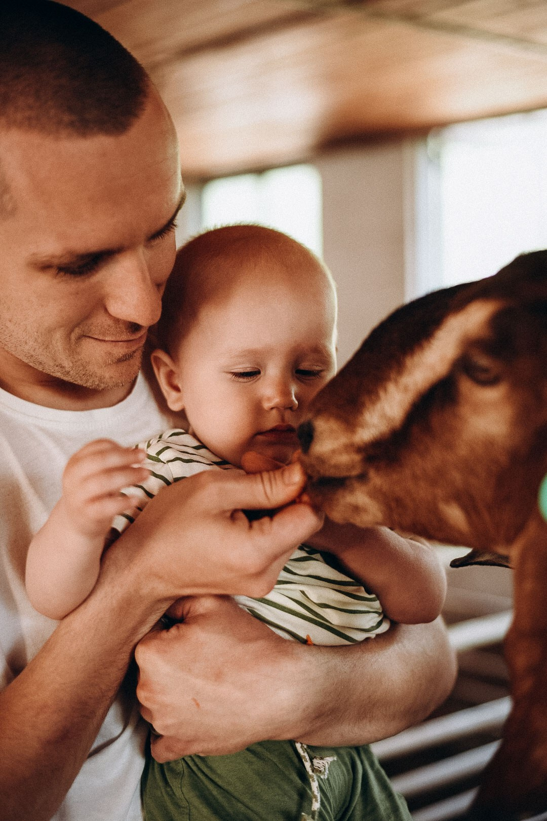 Эко-парк Каткова. Фотограф в Сочи — Маргарита Поганова