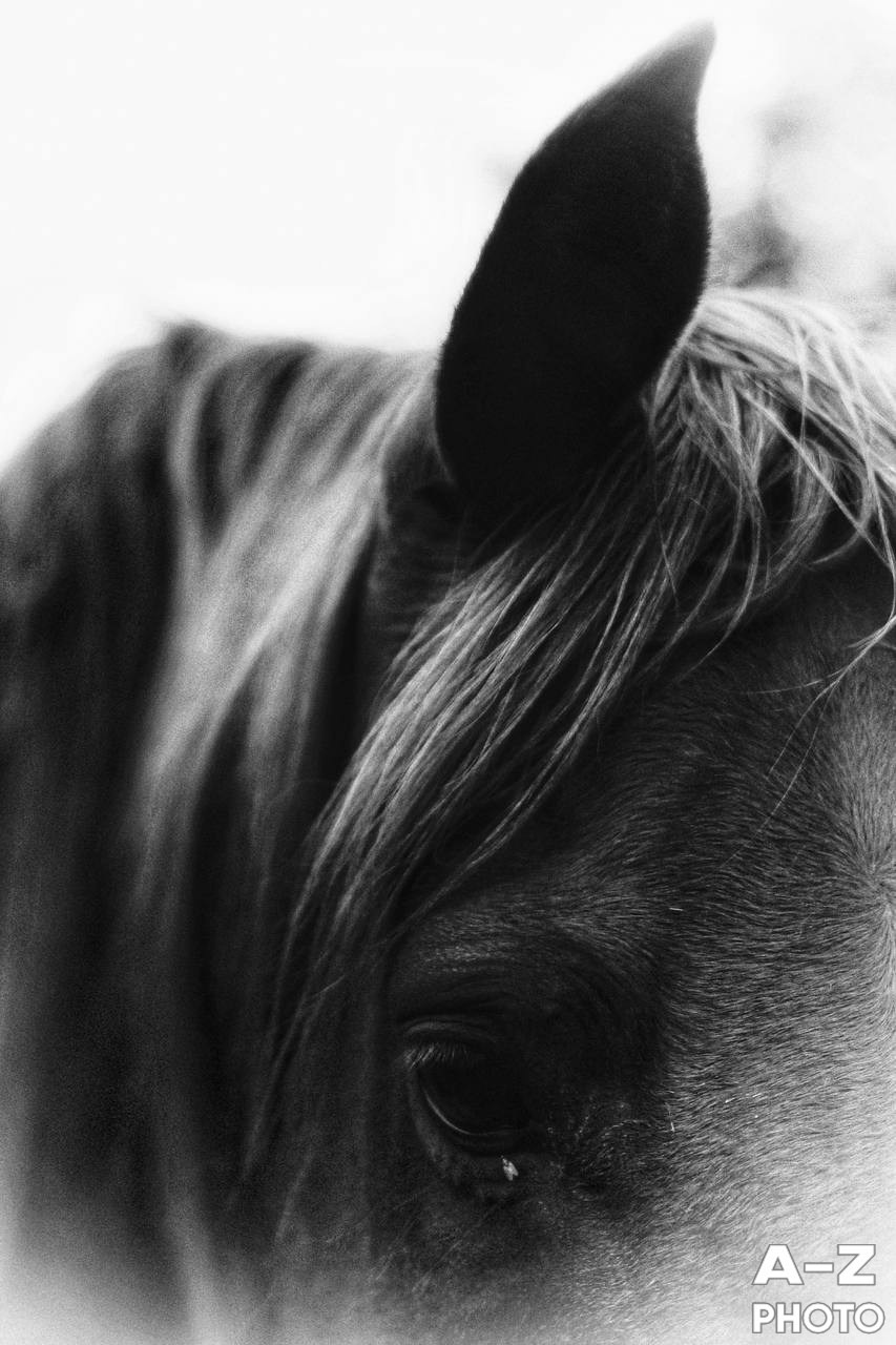 #ФОТОНЕДЕЛИ 19.01.2026. Женский семейный фотограф Тула Москва Захарова Анна