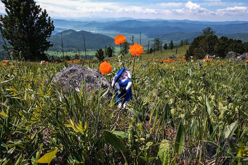 Алтай. Творческие сьемки