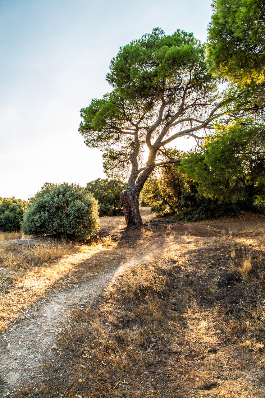 Испания, города юга и запада. Творческие сьемки