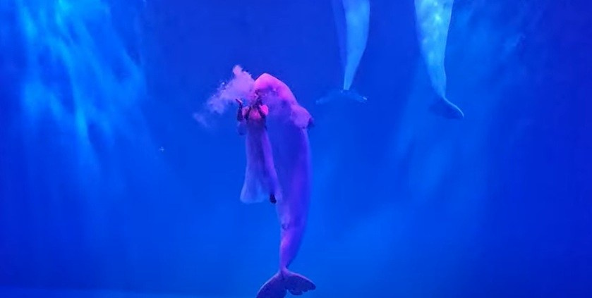 Китай. Июль 2025