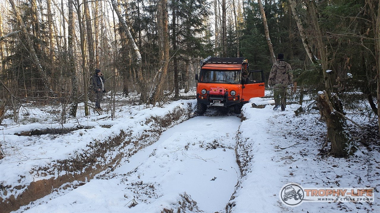 Южные Косогоры