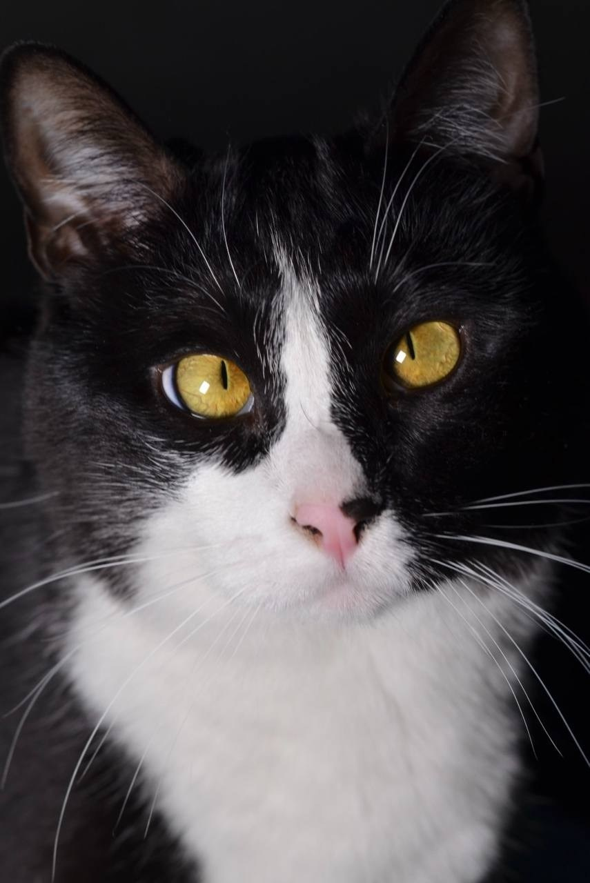 Хвостики. Портретный фотограф город Уфа