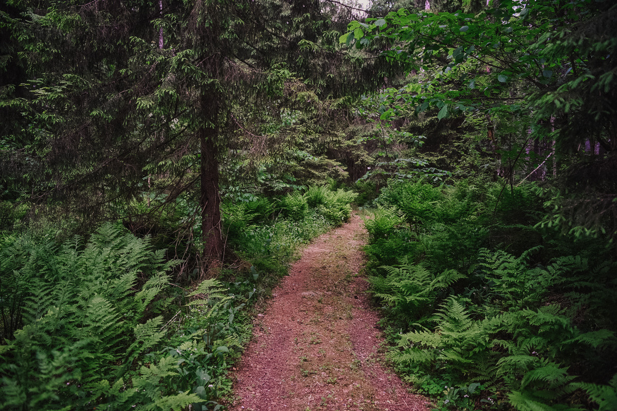 Большая Валдайская тропа. Event фотограф Степанова Александра