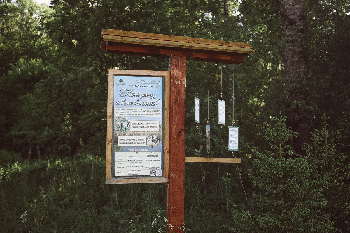 Большая Валдайская тропа. Event фотограф Степанова Александра