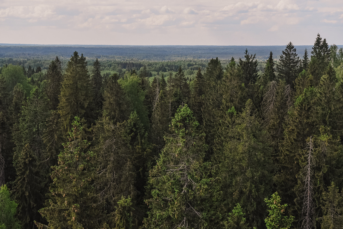 Большая Валдайская тропа. Event фотограф Степанова Александра