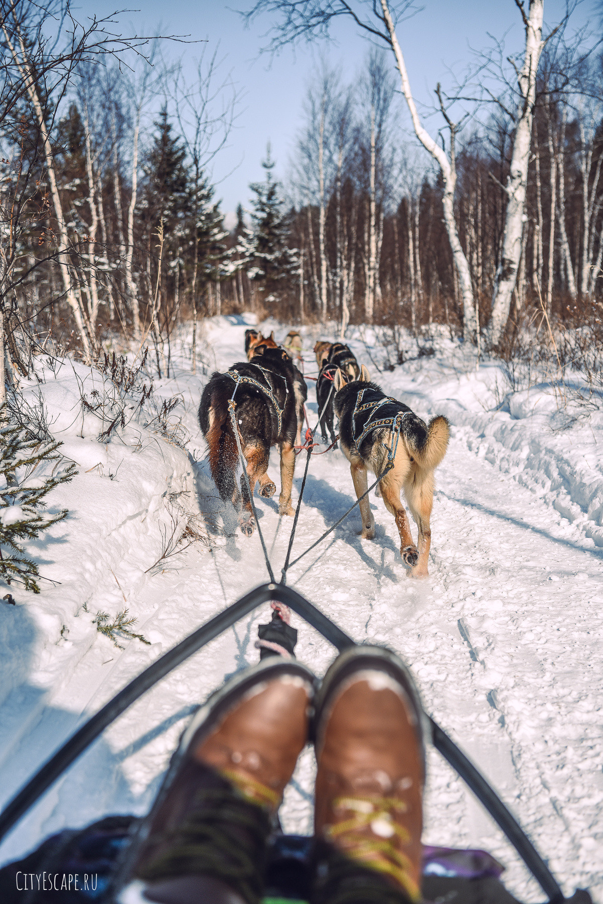 Зимний Байкал. Event фотограф Степанова Александра
