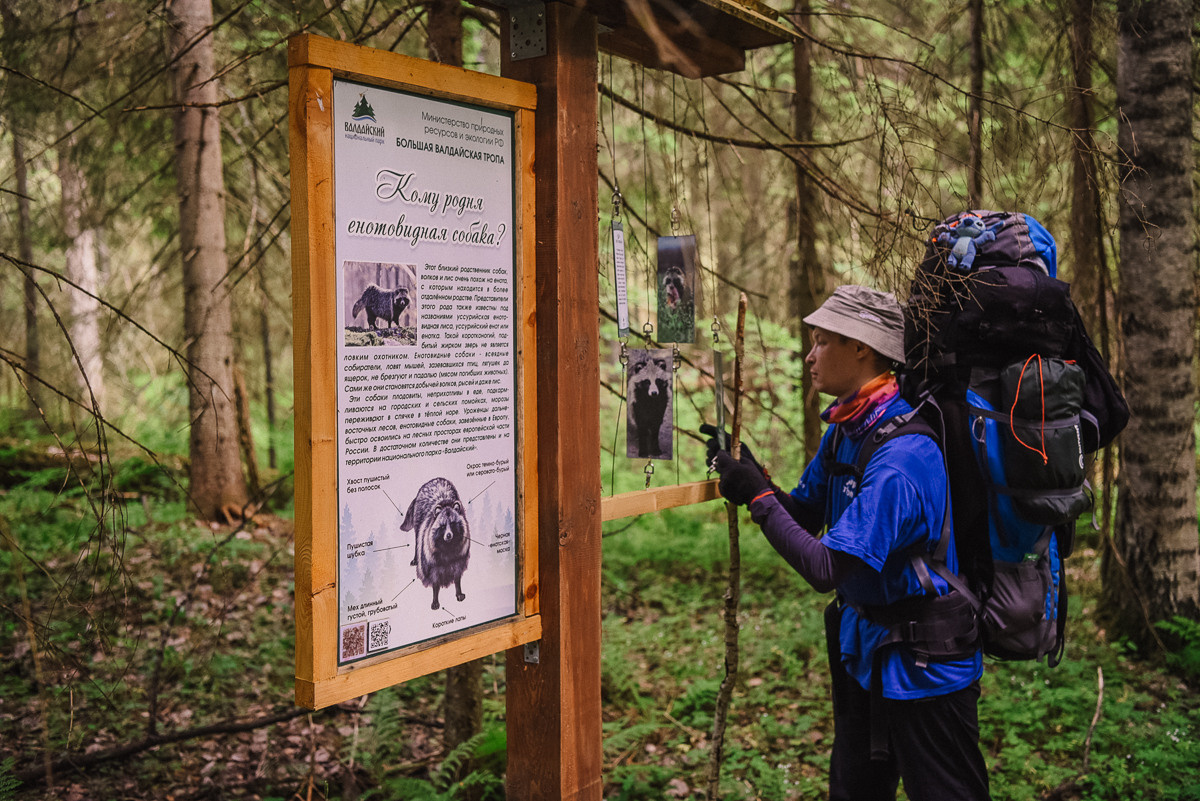 Большая Валдайская тропа. Event фотограф Степанова Александра