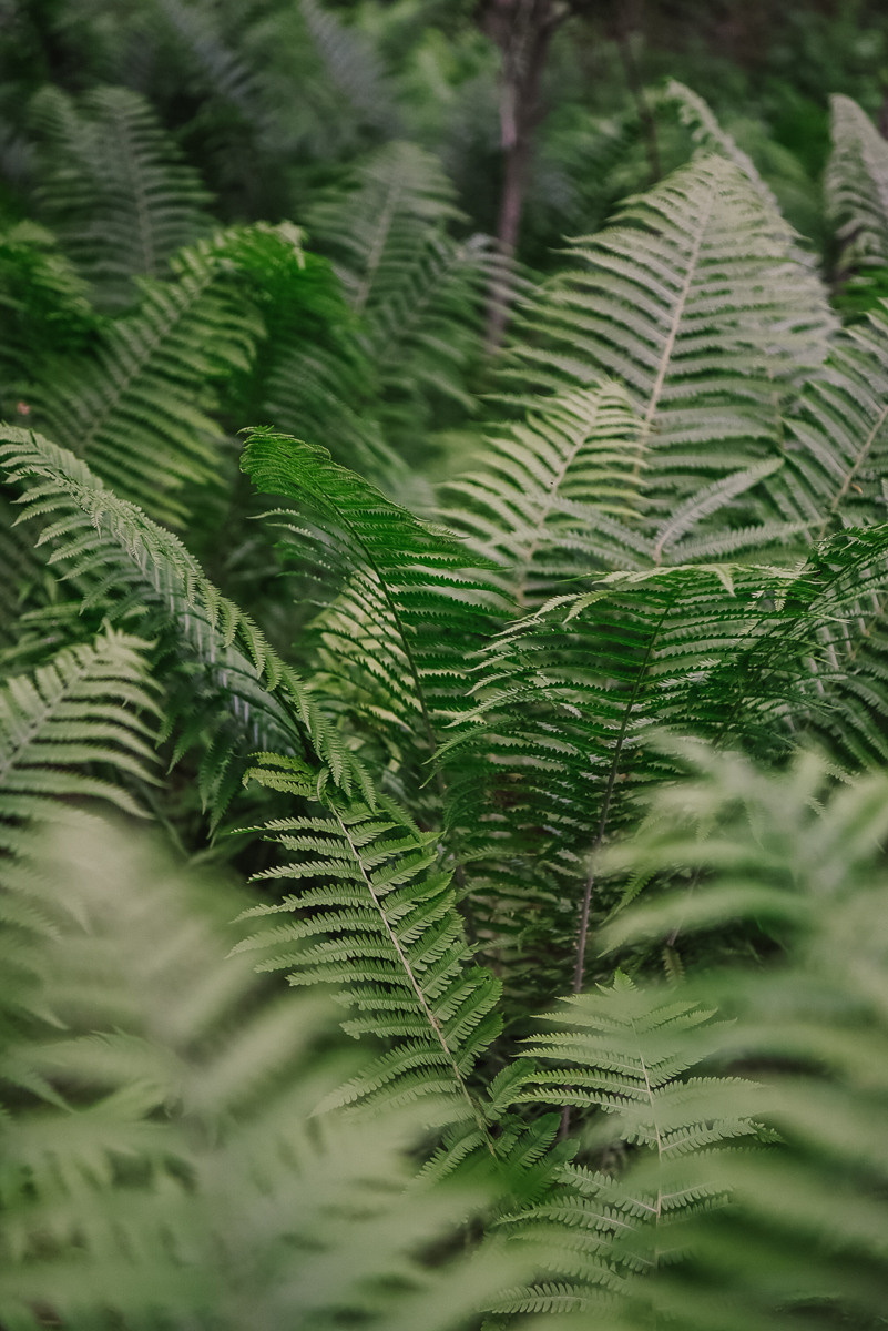 Большая Валдайская тропа. Event фотограф Степанова Александра