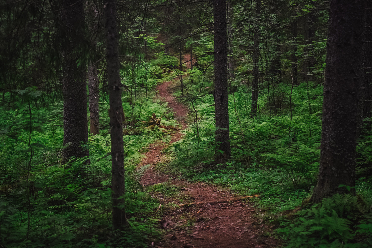 Большая Валдайская тропа. Event фотограф Степанова Александра