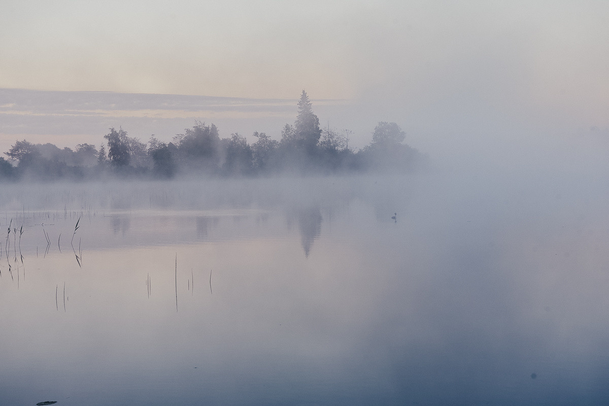 Большая Валдайская тропа. Event фотограф Степанова Александра