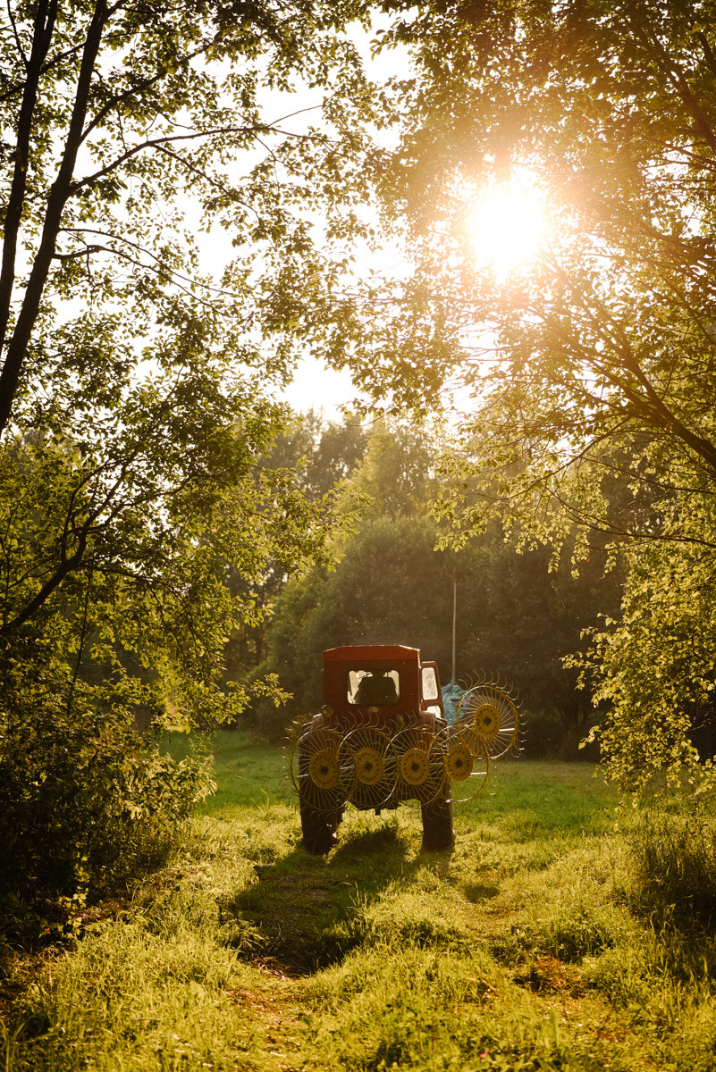 Миша. Event фотограф Степанова Александра