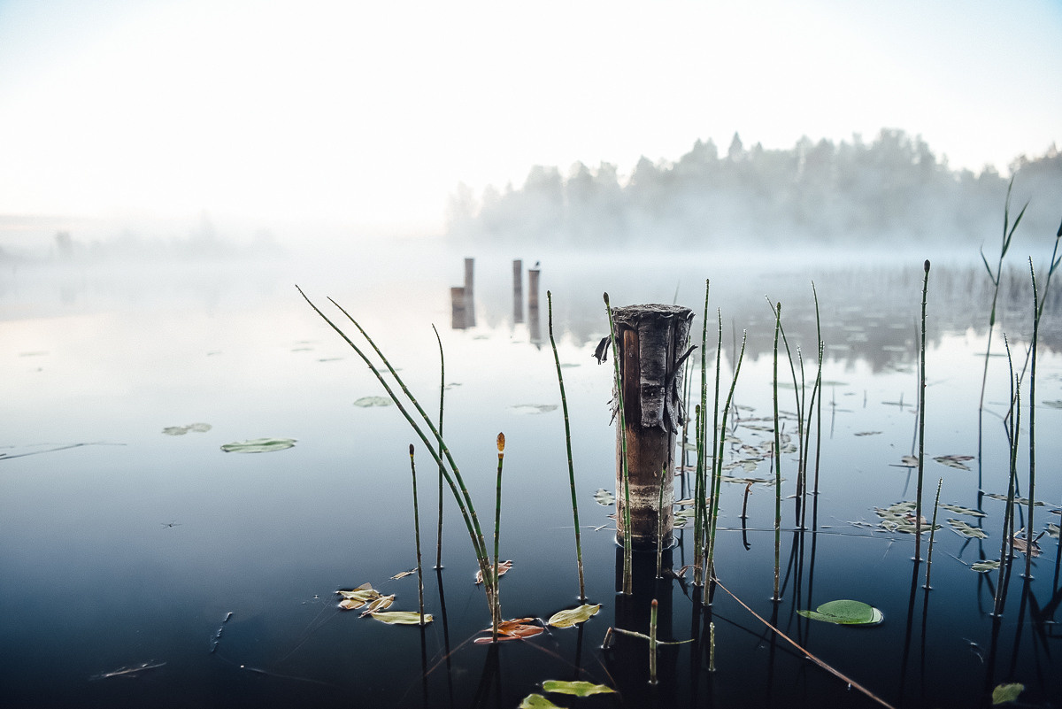 Большая Валдайская тропа. Event фотограф Степанова Александра