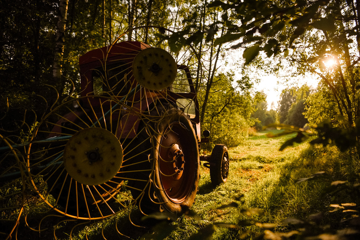 Миша. Event фотограф Степанова Александра