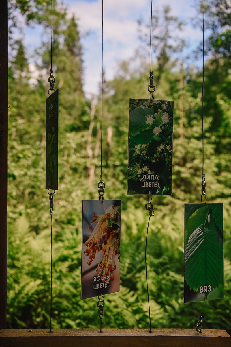 Большая Валдайская тропа. Event фотограф Степанова Александра