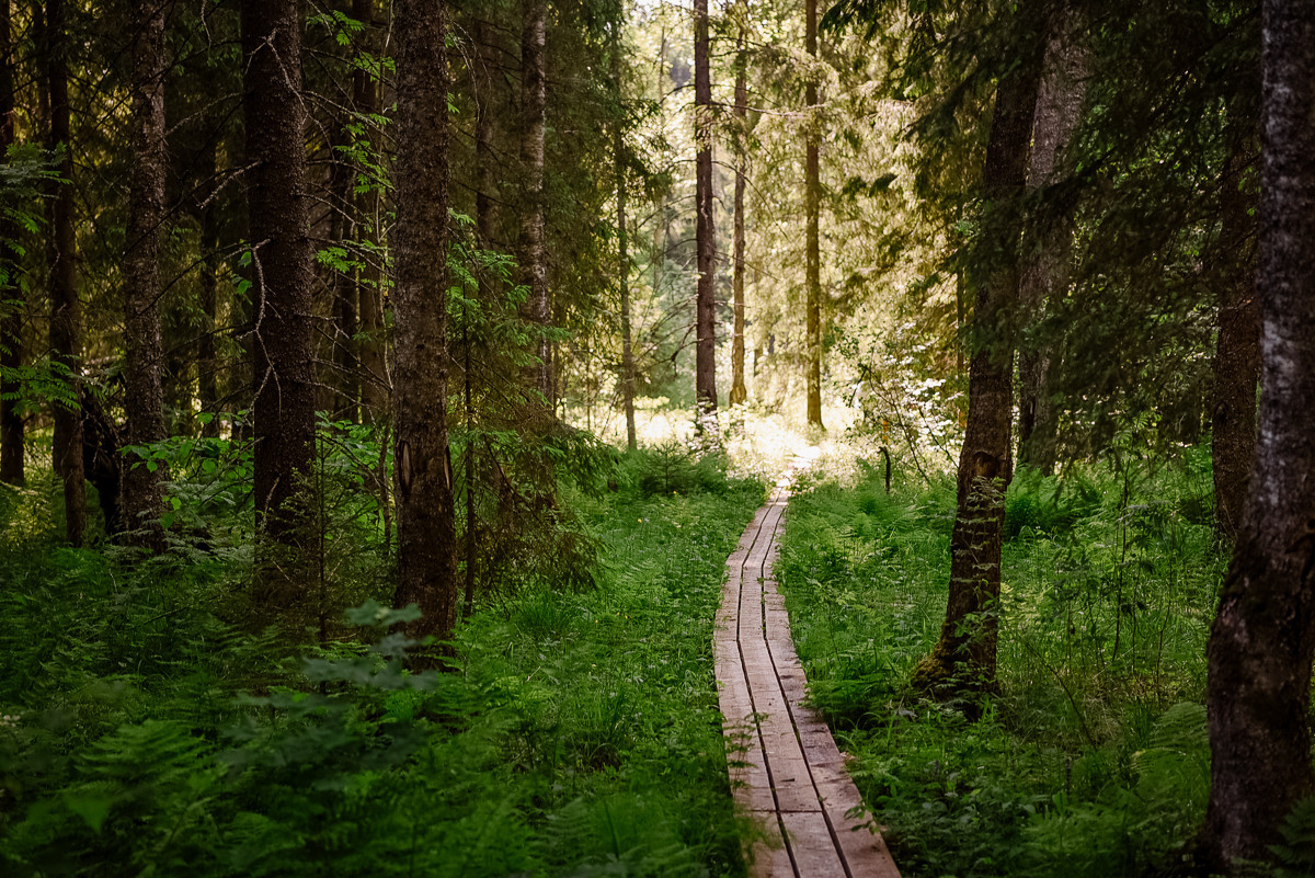 Большая Валдайская тропа. Event фотограф Степанова Александра