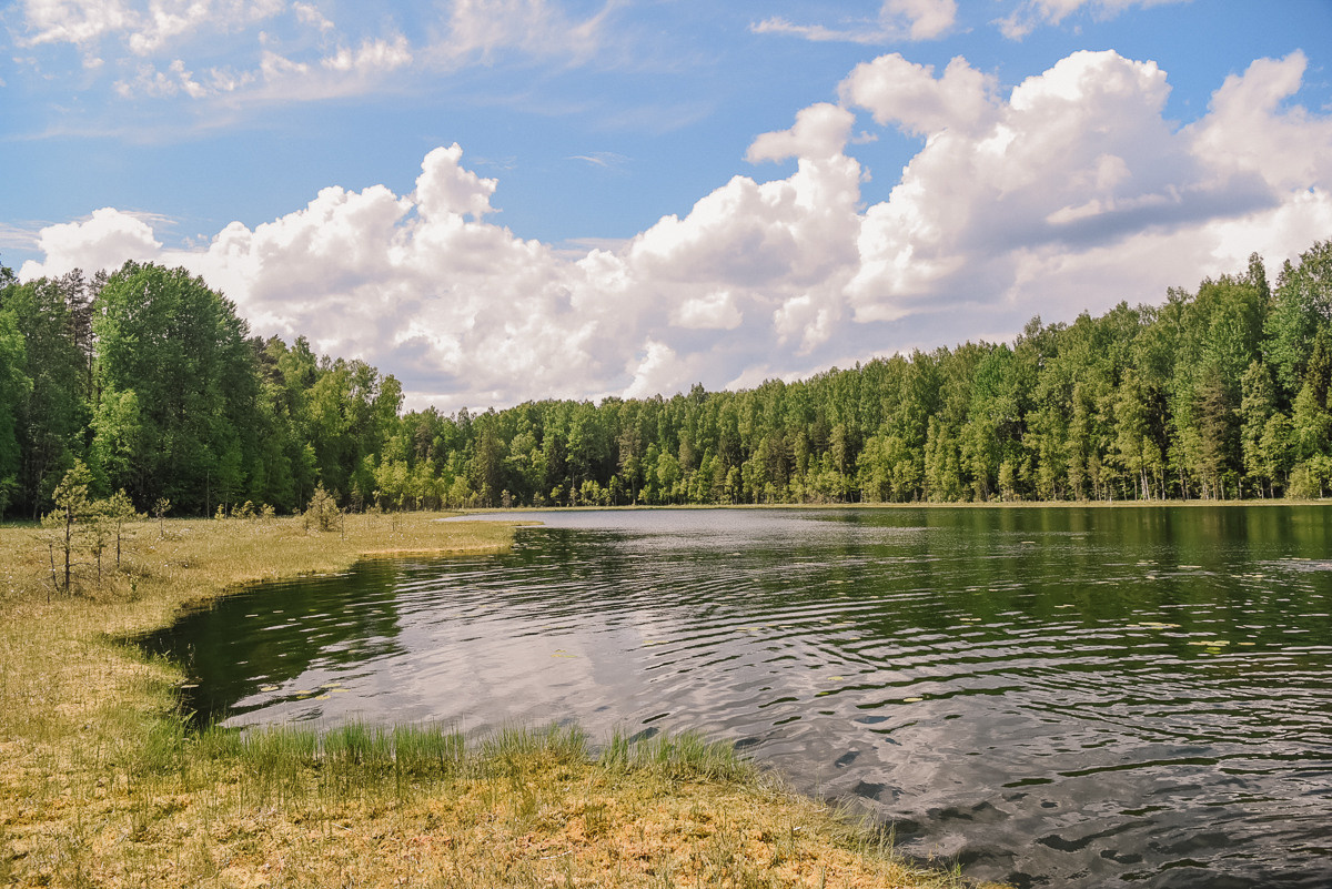 Большая Валдайская тропа. Event фотограф Степанова Александра