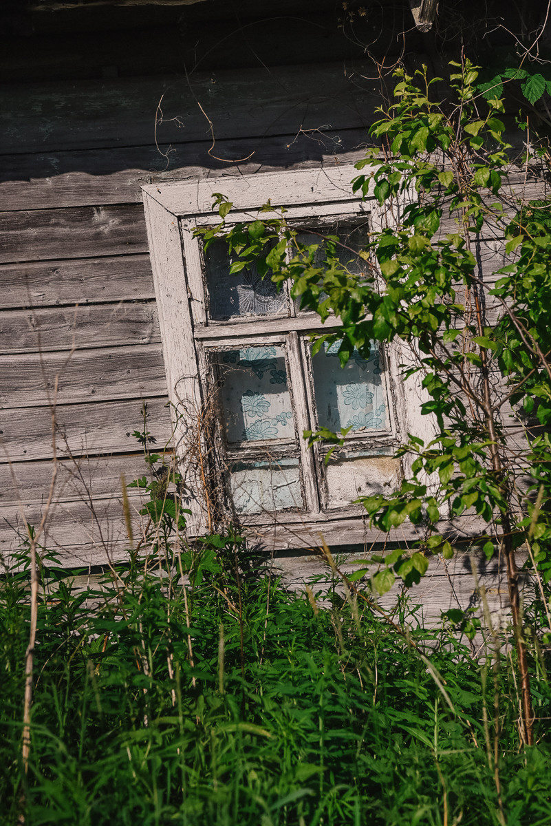 Большая Валдайская тропа. Event фотограф Степанова Александра