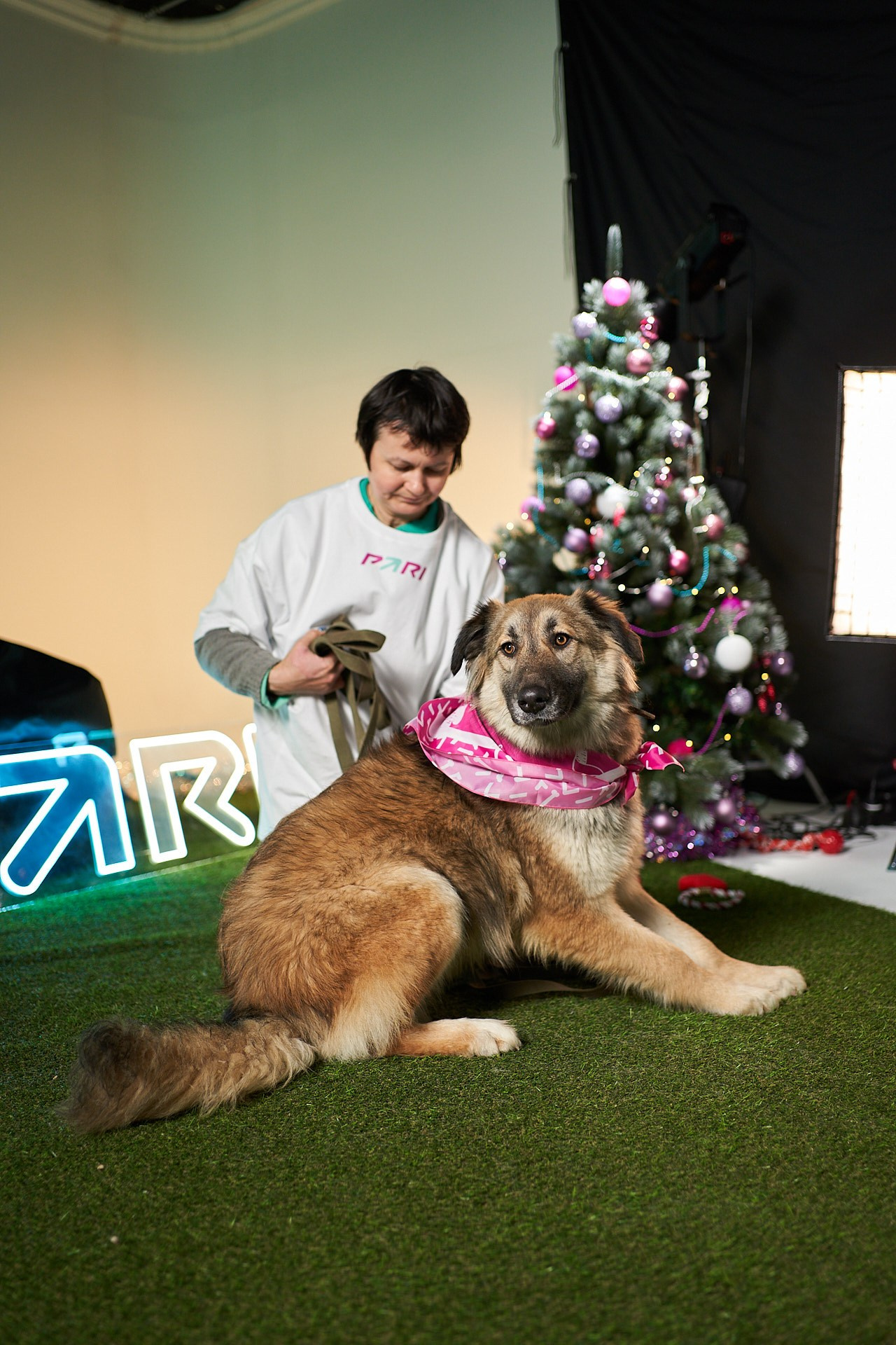 Проект «Андердоги» для коллаборации Фонда «Рэй», Sports.ru, Пари. Фотограф анималист Москва Дарья