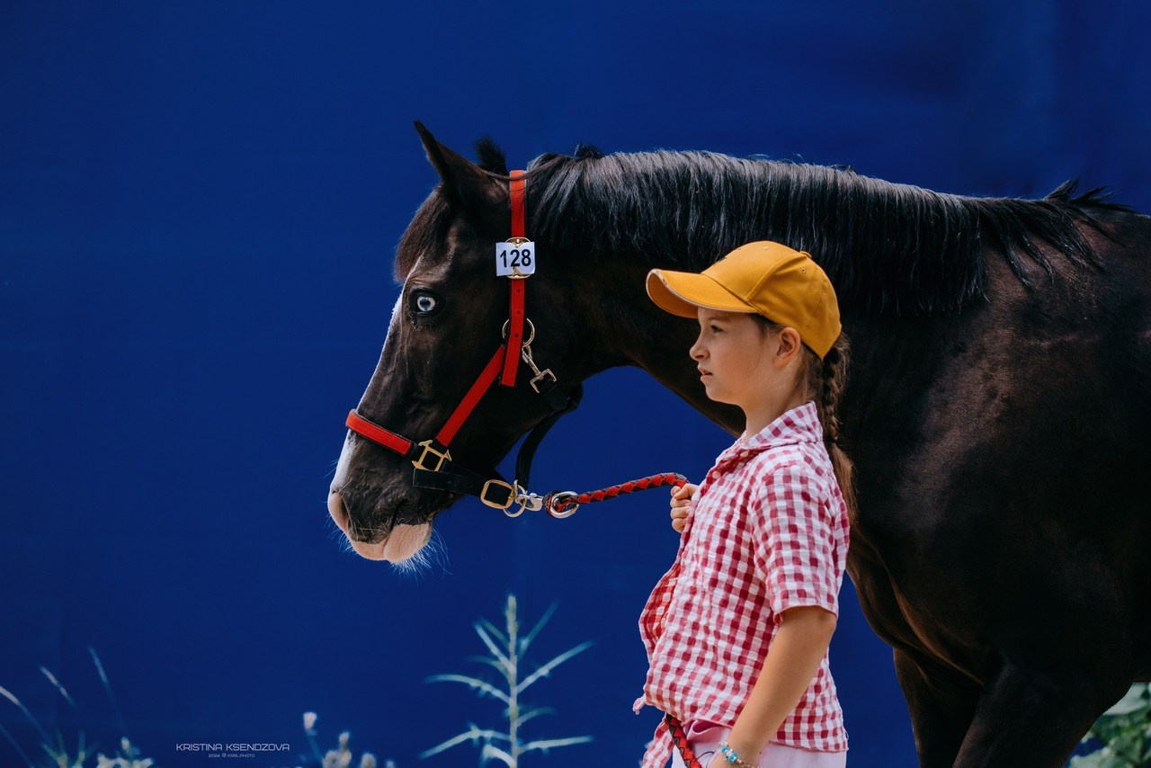 Отзывы. Фотограф-анималист Ксендзова Кристина