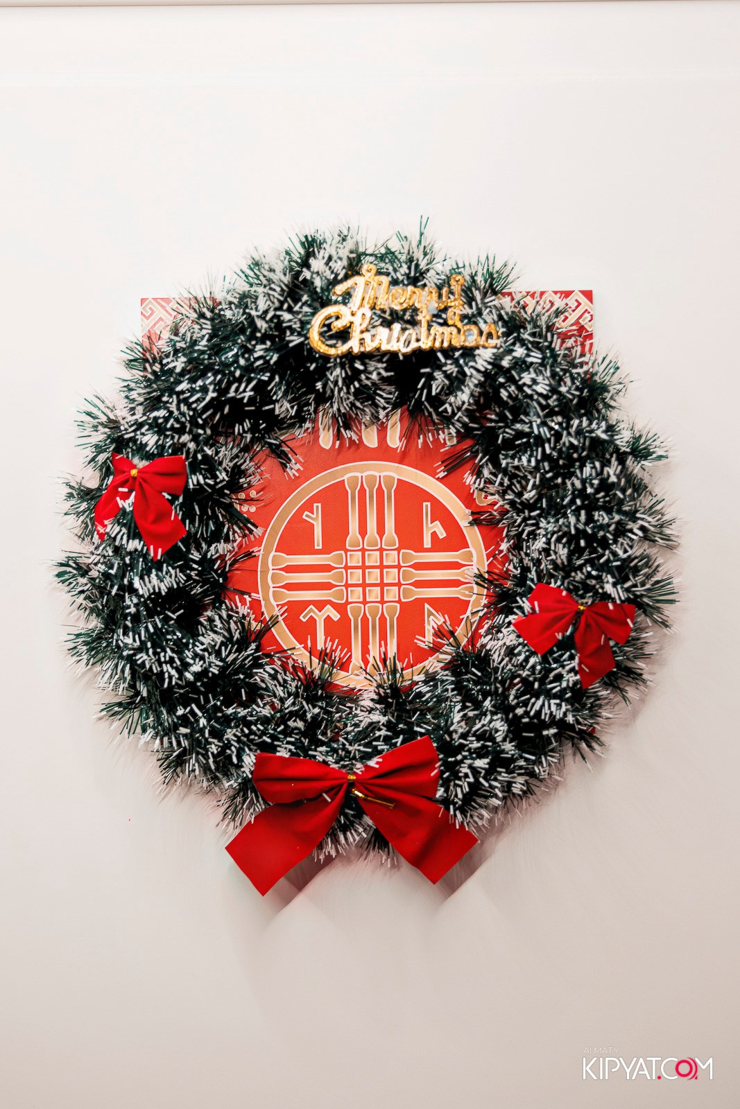 УХО И МЕДВЕДЬ НА ГАГАРИНА. КИПЯТКОМ АЛМАТЫ! Фотосъемка мероприятий в Алматы