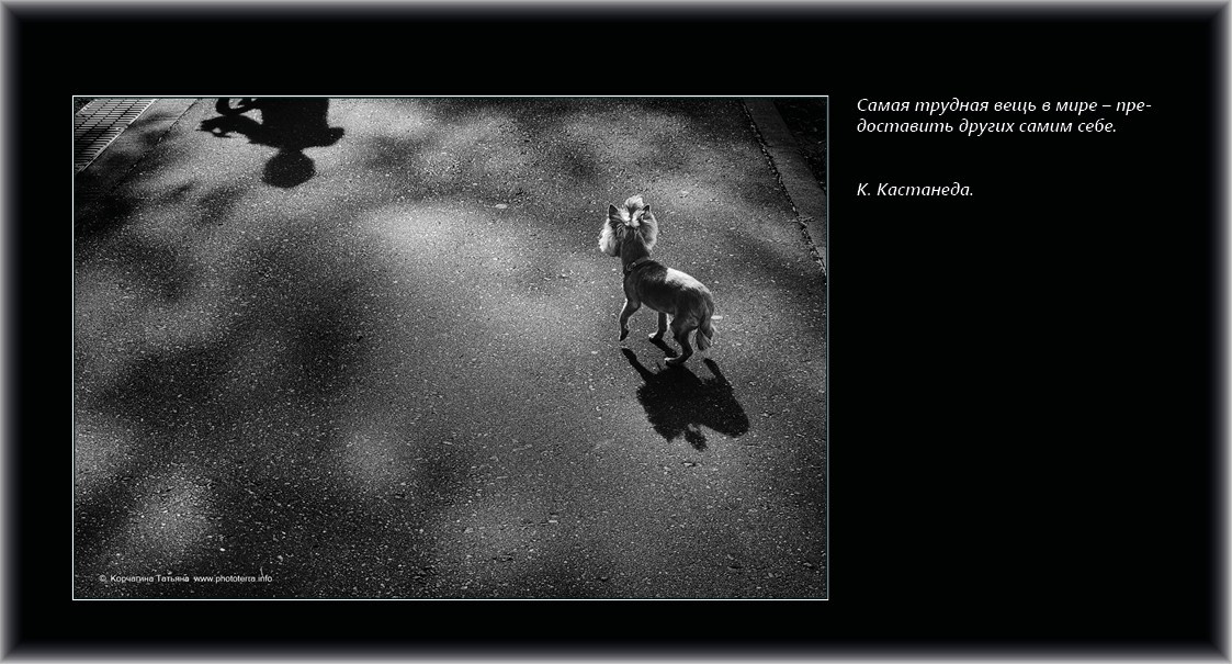 Совет дня — ориентир. Татьяна Корчагина. Фотограф, художник. Обучение фотографии